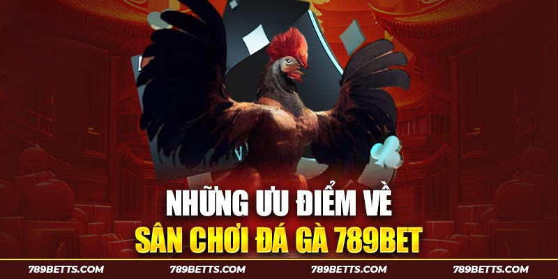 Những ưu điểm vượt trội về sân chơi đá gà 789BET